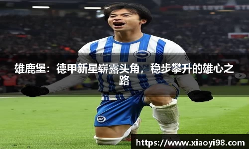 雄鹿堡：德甲新星崭露头角，稳步攀升的雄心之路