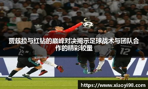 韦德体育