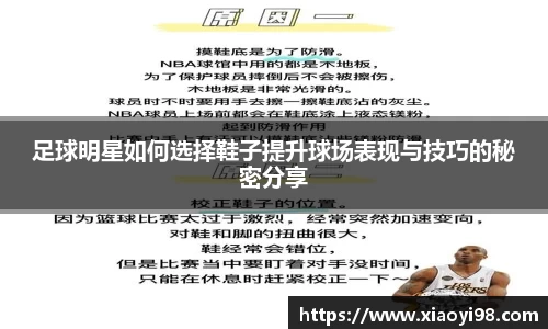 韦德体育