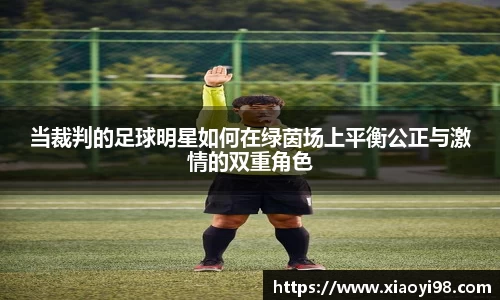 当裁判的足球明星如何在绿茵场上平衡公正与激情的双重角色