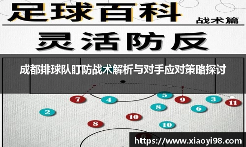 成都排球队盯防战术解析与对手应对策略探讨